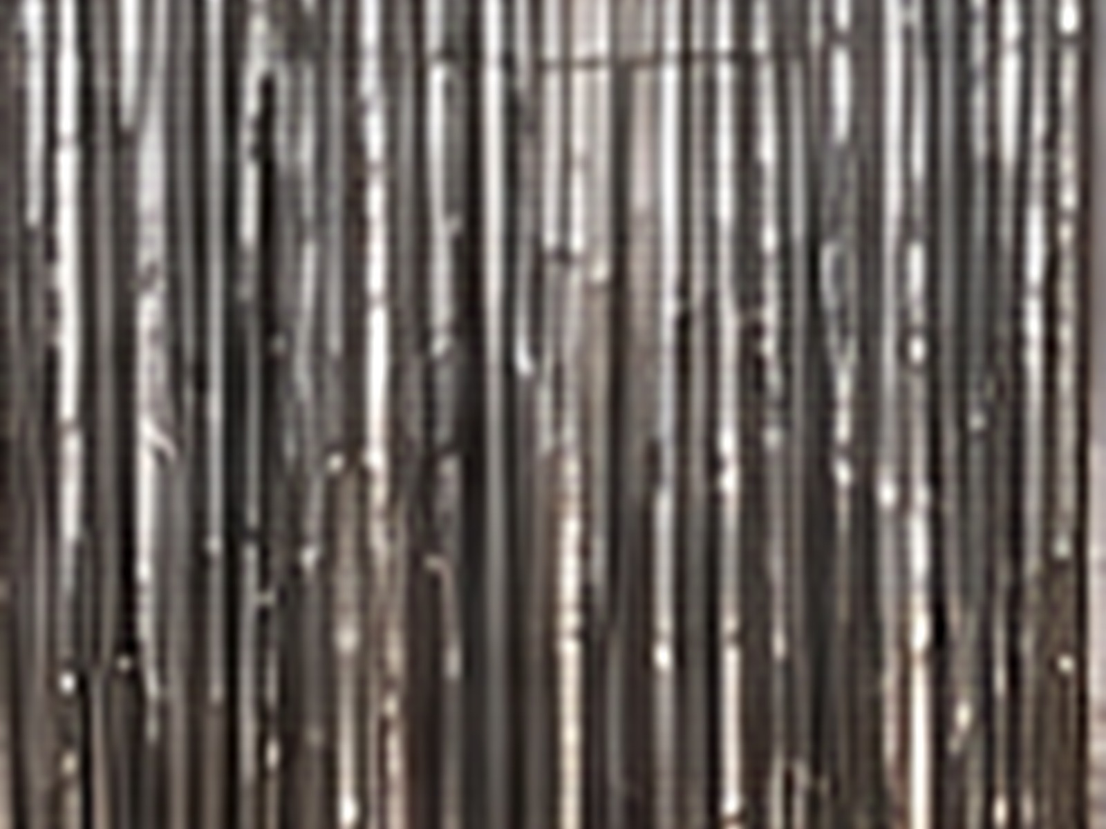 Chrome Fringe photo booth backdrop